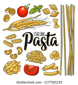 Different types macaroni and ITALIAN PASTA handwriting lettering. Farfalle, conchiglie, maccheroni, fusilli, penne, pipe, spaghetti, ruote, fettuccine, tomato, wheat. Vector vintage color engraving