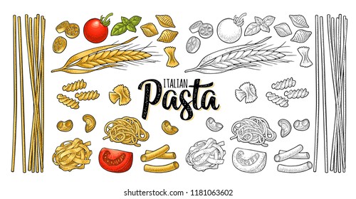 Different types macaroni and ITALIAN PASTA handwriting lettering. Farfalle, conchiglie, maccheroni, fusilli, penne, pipe, spaghetti, ruote, fettuccine, tomato, wheat. Vector vintage color engraving