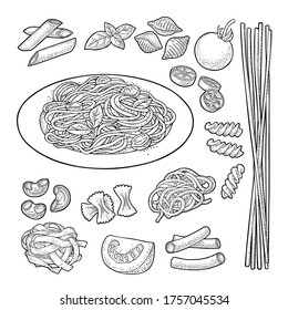 Different types macaroni and spaghetti on plate. Farfalle, conchiglie, maccheroni, fusilli, penne, pipe, ruote, fettuccine, tomato, basil isolated on white. Vector vintage color engraving