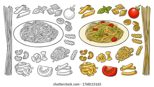 Different types macaroni and spaghetti on plate. Farfalle, conchiglie, maccheroni, fusilli, penne, pipe, ruote, fettuccine, tomato, basil isolated on white. Vector vintage color engraving