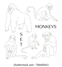 Different types of monkeys