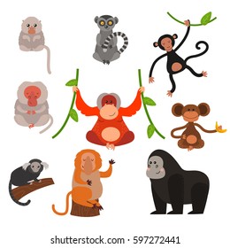 Different types of monkeys rare animal vector set.