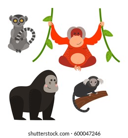 Different types of monkeys rare animal vector set.