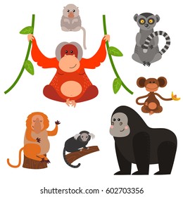 Different types of monkeys rare animal vector set.