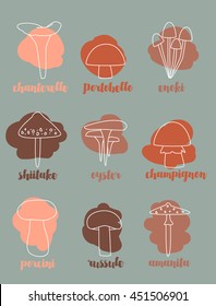 different types of mushrooms. Magnificent mushroom icons with colored spots. Autumn color palette. Vector illustration
