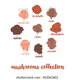 different types of mushrooms. Magnificent mushroom icons with colored spots. Autumn color palette. Vector icons
