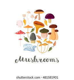 Different types of mushrooms on white background. Flat colorful design set.