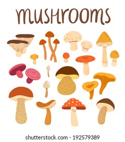 Different types of mushrooms set, vector illustration