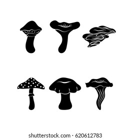 Different types of mushrooms, silhouettes isolated on white background