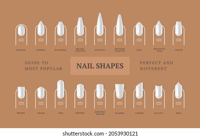 Different types of nail shapes. Vector stock set. Poster for the salon of manicure service.