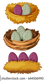 Different types of nests and eggs illustration