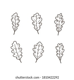 Different types of oak leaves. Flat contour vector illustration.