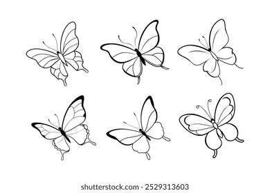 Different types of butterfly’s outline vector illustration