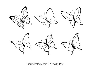 Different types of butterfly’s outline vector illustration