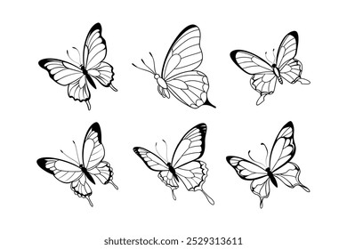 Diferentes tipos de ilustração de vetor de contorno de borboleta