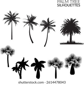 different types of palm tree silhouettes