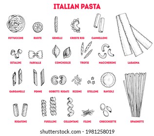 Different types of pasta set. Italian food. Hand drawn sketch. Vintage vector illustration. Pasta sketch illustration. Italian cuisine.