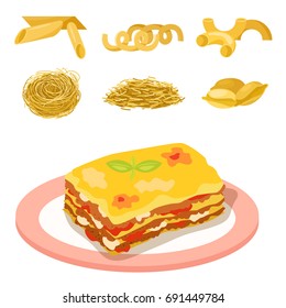 Different types of pasta whole wheat corn rice noodles organic food macaroni yellow nutrition dinner products vector illustration