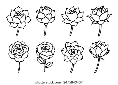 Different Types of Peony Line Art Collection