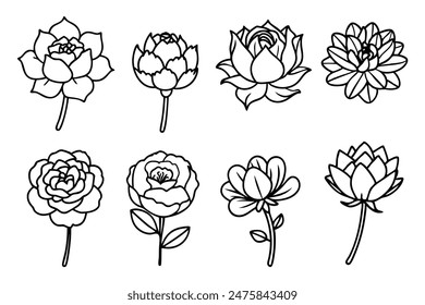 Different Types of Peony Line Art Collection