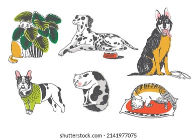 different types pets illustration set