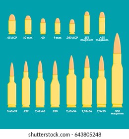 Different types of pistol and rifle bullets with description on blue background.