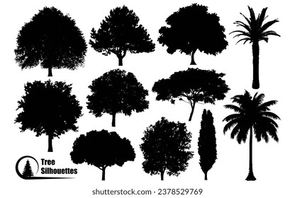 Diferentes tipos de vector de siluetas de plantas y árboles
