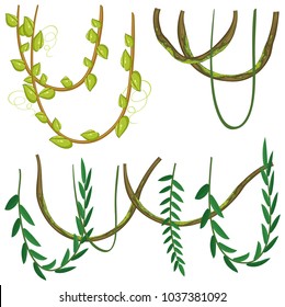 Diferentes tipos de plantas en la ilustración de fondo blanco