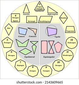  Different Types of Polygons, Regular, Concave, Convex