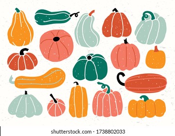 Different types of pumpkin and squash collection vector illustration. Small square of colourful vegetables with various shapes and sizes cartoon design on white background. Halloween holiday concept