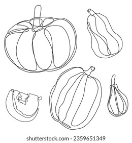 Different types of pumpkins line art set. Autumn pumpkin line art set.