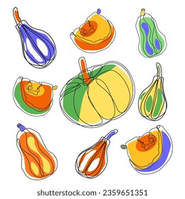  Different types of pumpkins set. Autumn pumpkin line art set.