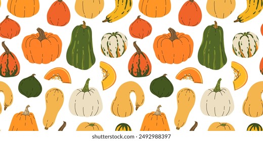 Different types of pumpkins vector seamless pattern isolated on white background. Various autumn pumpkins big collection hand drawn in flat style. Thanksgiving Halloween holiday cute illustration