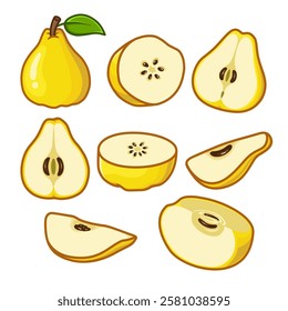 Different types of quince, including sliced pieces shown from various angles, are perfect for educational materials and presentation assignments.