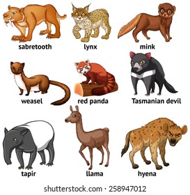 Different types of rare animal