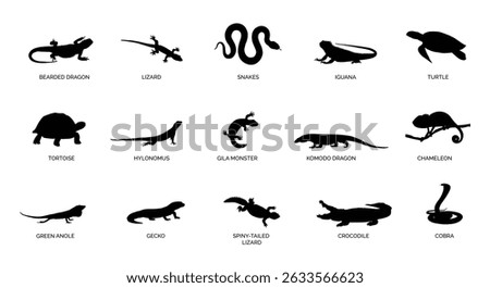 different types of reptile animal silhouette vector