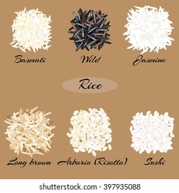 Different types of rice (basmati, wild, jasmine, long brown, arborio, sushi). Vector illustration EPS 10.