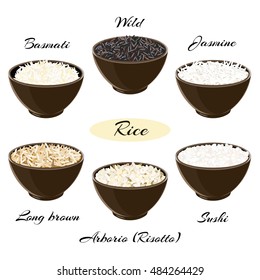 Different Types Of Rice Basmati, Wild, Jasmine, Long Brown, Arborio, Sushi In Ceramic Bowls Vector Illustration EPS 10.