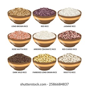 Different types of rice set collection, rice bowl contain long brown, red, jasmine, rose matte, arborio (basmati), red cargo, dark wild, parboiled, and risotto, isolated on white background, cartoon.