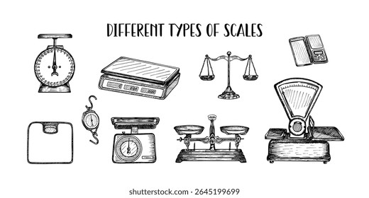 Diferentes tipos de escalas - dibujado a mano Vector boceto ilustración colección. Dibujo de contorno en estilo de grabado de pesas