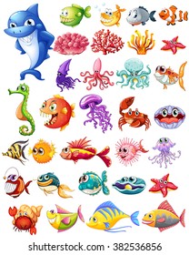 Different Types Sea Animals Illustration Stock Vector (Royalty Free ...