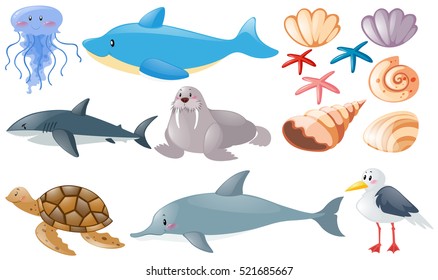 Different types of sea animals illustration