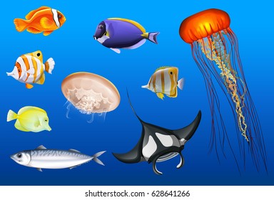 Different types of sea animals illustration