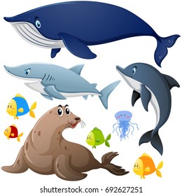 Different types of sea animals illustration