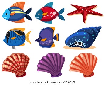 Diferentes tipos de ilustraciones de animales marinos