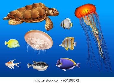 Different types of sea animals in ocean illustration