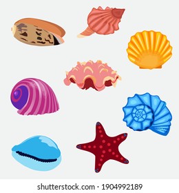 Different types of seashells illustration