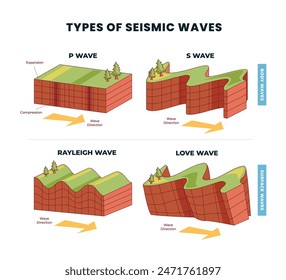 Different types of seismic waves as earth movement in earthquake outline, labeled rayleigh, love and body, surface wave comparison with direction explanation, shaking of the Earth's surface.