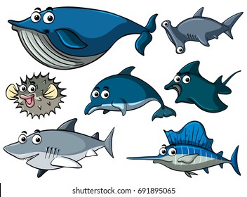 Different types of sharks illustration