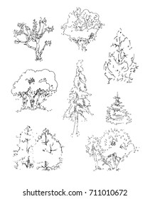 Different types of sketch trees